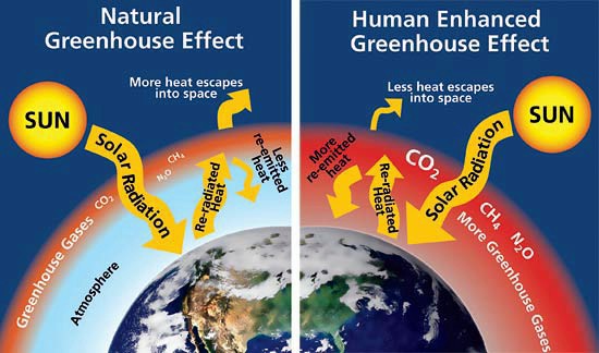 Effetto serra e riscaldamento globale