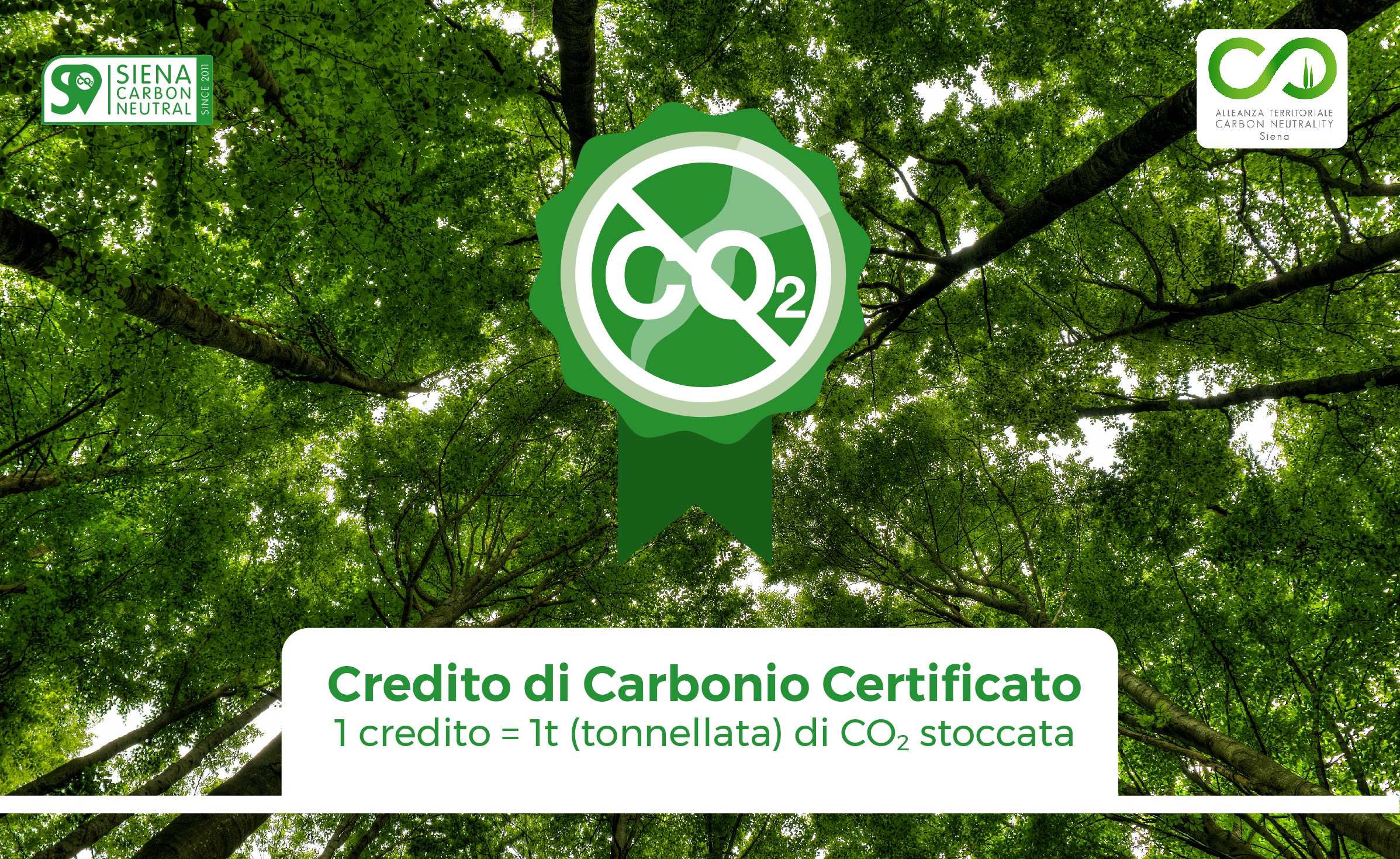 Crediti di carbonio: una strategia di compensazione della CO2 verso un'economia low carbon