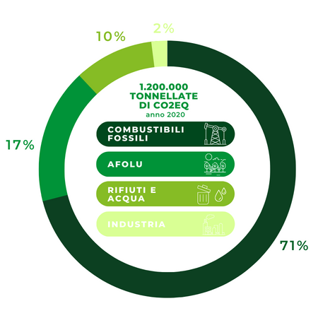 percentuale emissioni 2020
